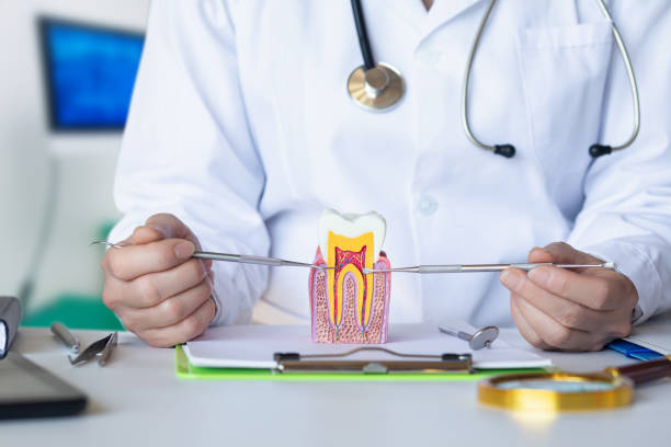 Best Emergency Orthodontic Services in Springfield, MN